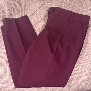 AMAZING CONDITION Women’s Express Columnist Pants